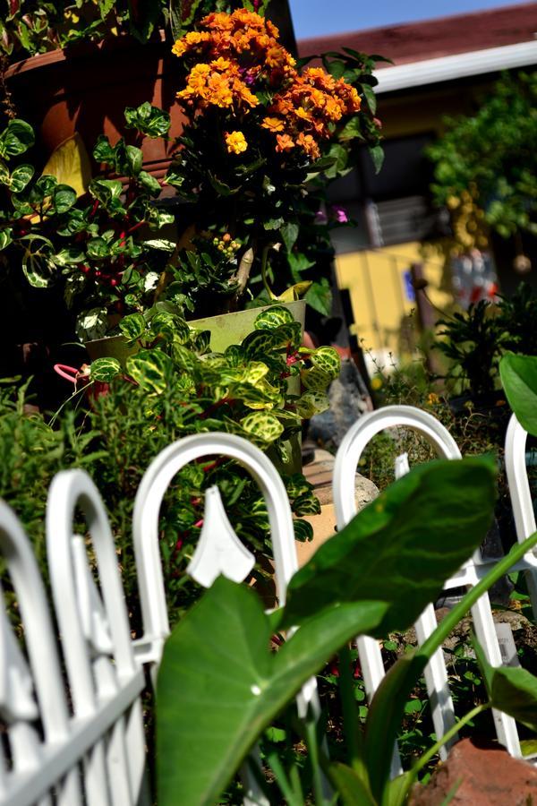 Hotel Casa Aura Cartago Zewnętrze zdjęcie