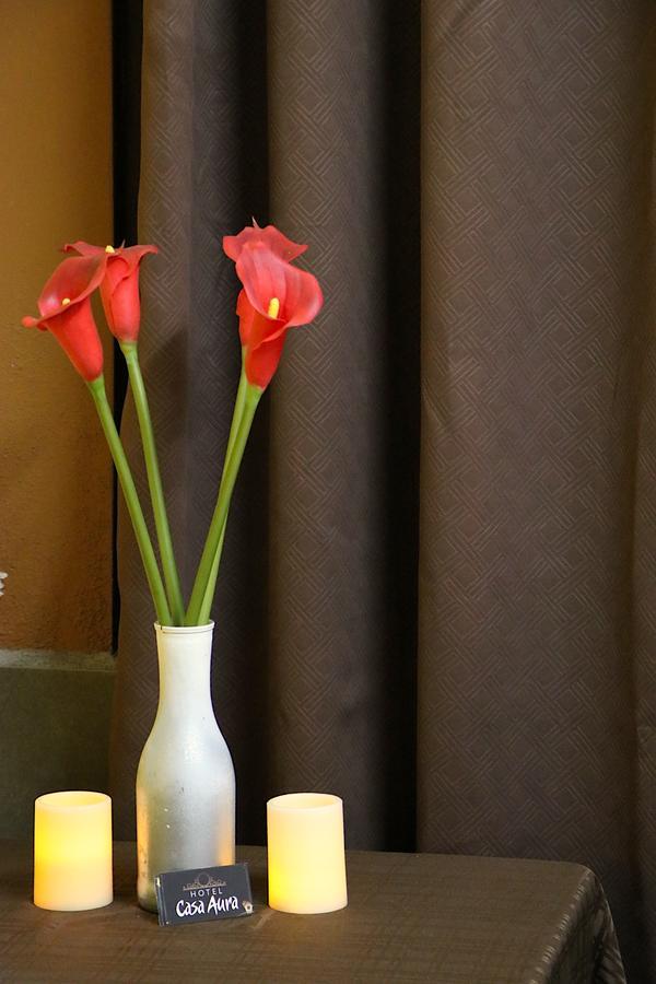 Hotel Casa Aura Cartago Zewnętrze zdjęcie